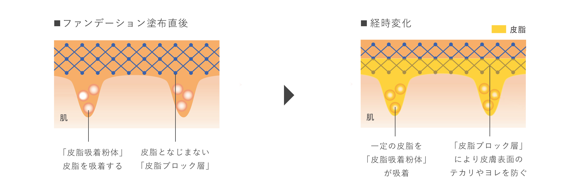 ファンデーション塗布直後 「皮脂吸着粉体」皮脂を吸着する 皮脂となじまない「皮脂ブロック層」 から 経時変化 一定の皮脂を「皮脂吸着粉体」が吸着 「皮脂ブロック層」により皮膚表面のテカリやヨレを防ぐ