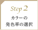 STEP01:使用するカラーの選択