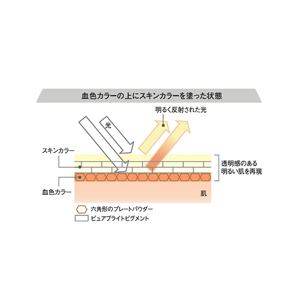 血色カラーの上にスキンカラーを塗った状態